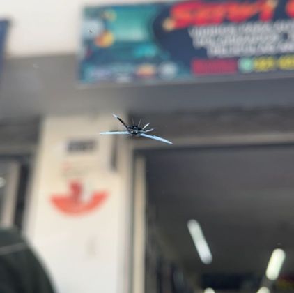 servicio de polarizado a domicilio